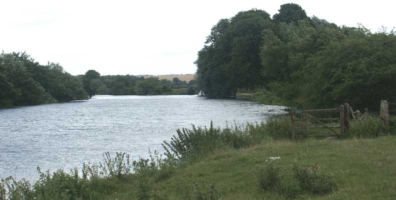 River Thames bank and gate &copy;Lesley Close 2003